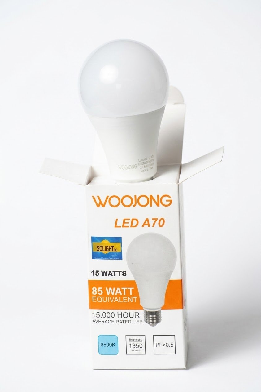 Ampoule LED A70 15W